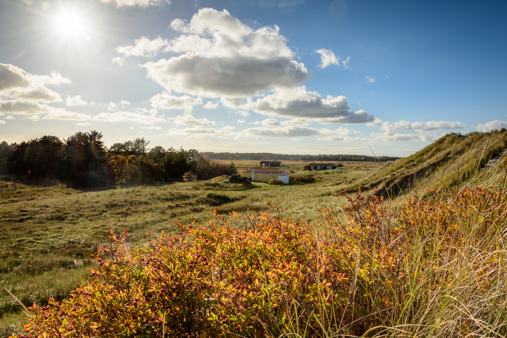 Daily Dose of Denmark: Behind the dunes of Læsø