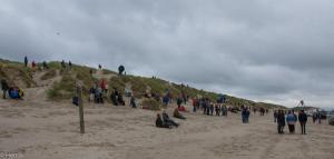 Many people are sitting in the dunes and waiting for the action